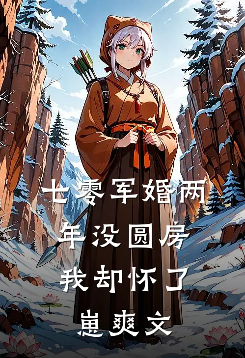 七零军婚两年没圆房，我却怀了崽爽文