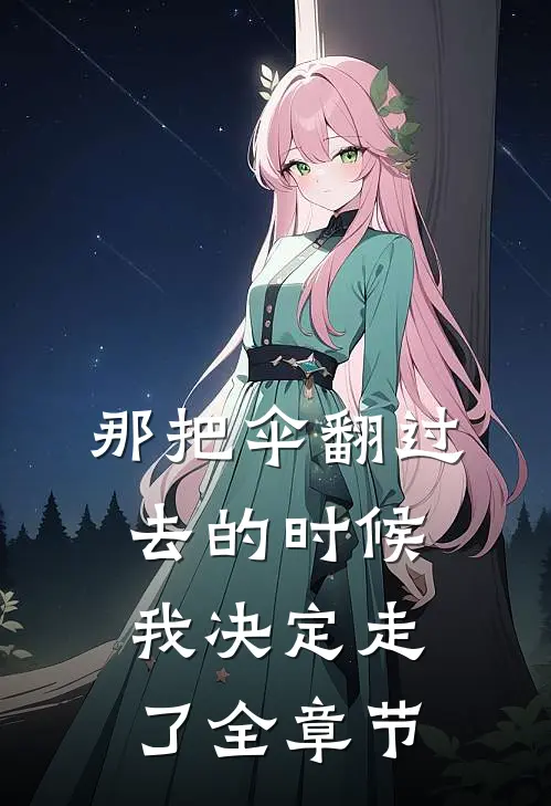 那把伞翻过去的时候，我决定走了全章节