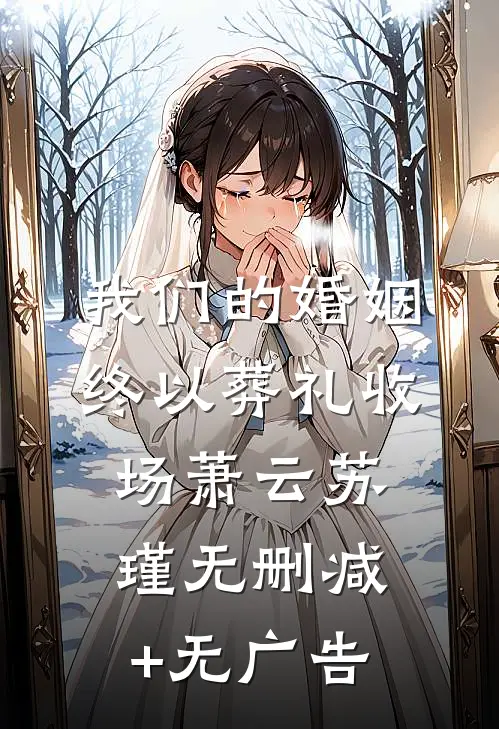 我们的婚姻，终以葬礼收场萧云苏瑾无删减+无广告