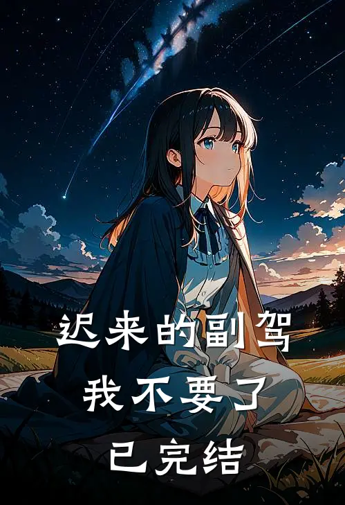 迟来的副驾，我不要了已完结