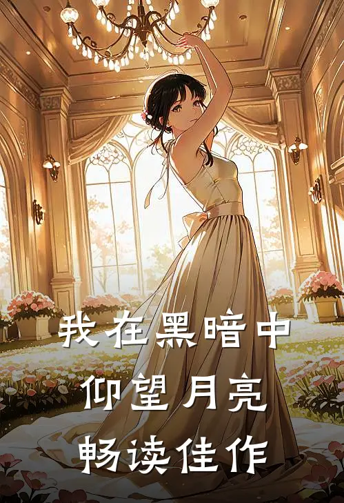 我在黑暗中仰望月亮畅读佳作