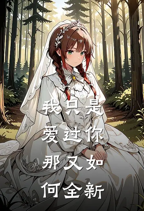 我只是爱过你,那又如何全新爱过你
