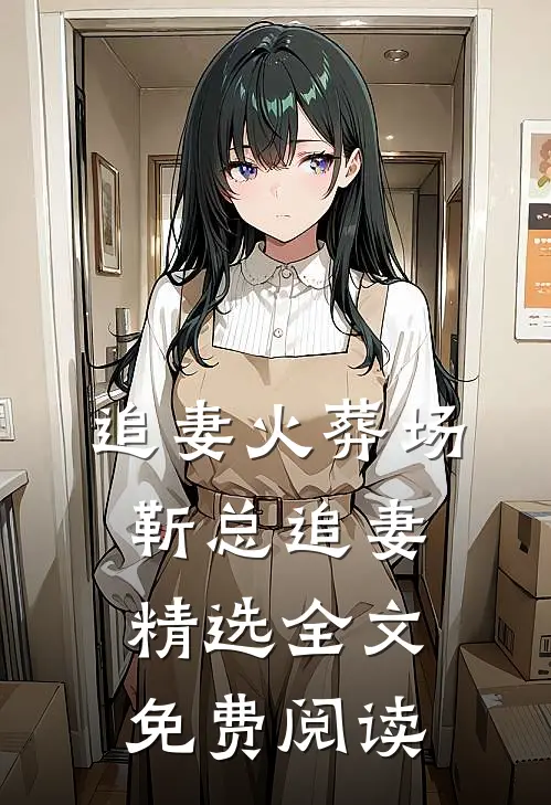 追妻火葬场靳总追妻精选全文免费阅读