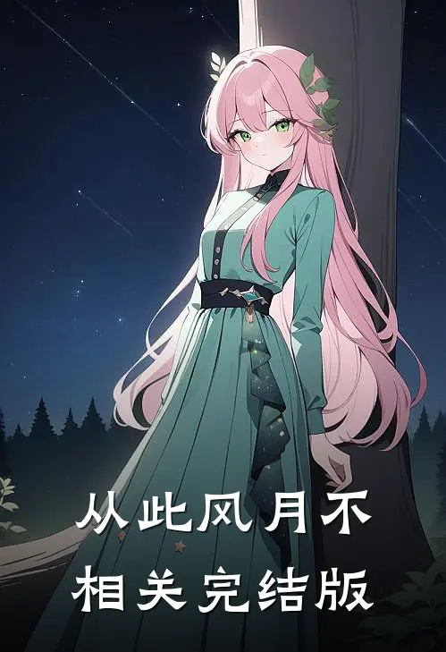 从此风月不相关完结版