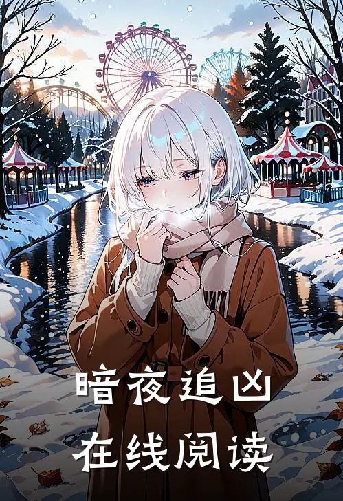 暗夜追凶在线阅读