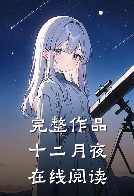 完整作品十二月夜在线阅读