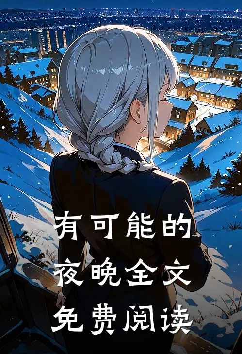 有可能的夜晚全文免费阅读