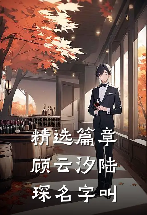精选篇章顾云汐陆琛名字叫