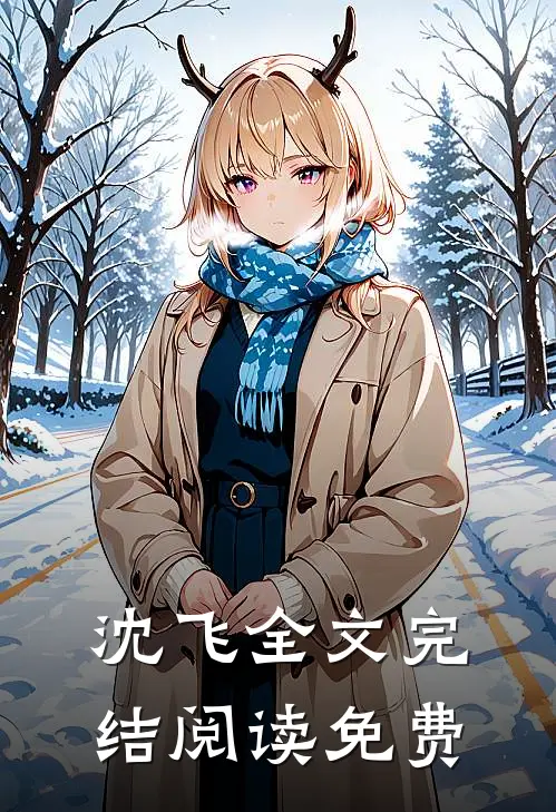 沈飞全文完结阅读免费