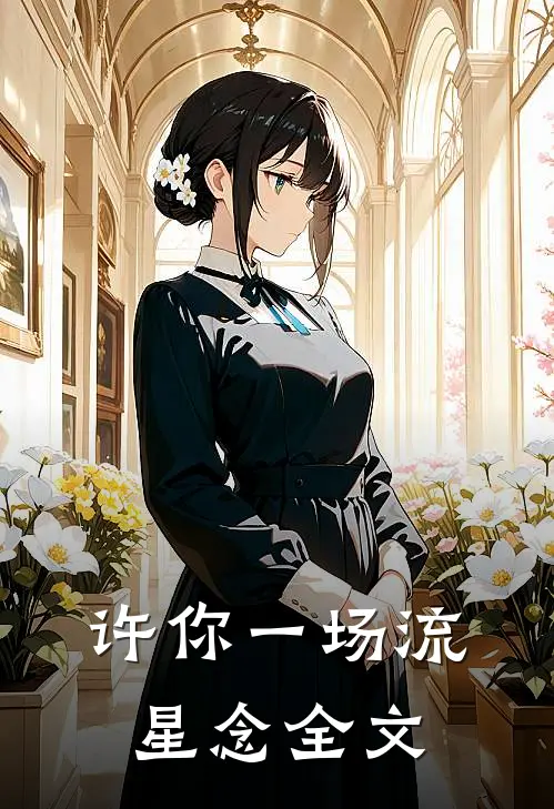 许你一场流星念全文