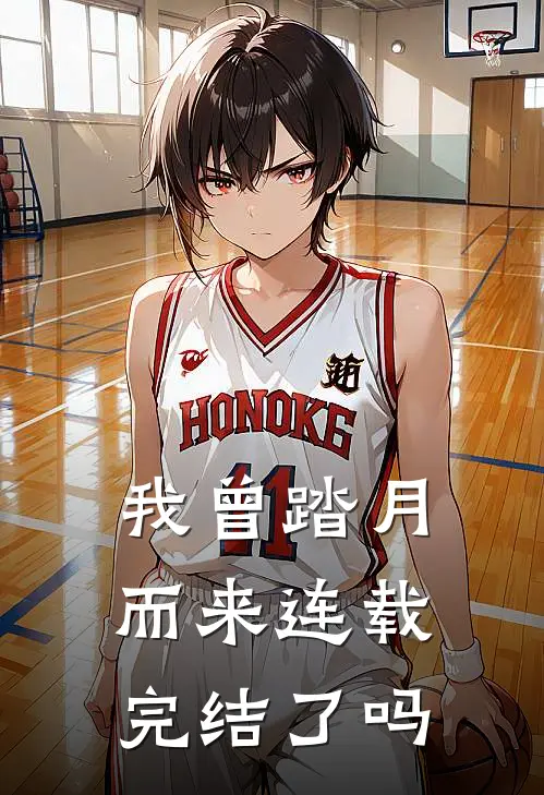 我曾踏月而来连载完结了吗
