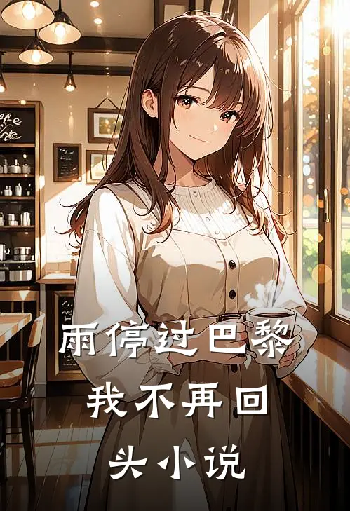雨停过巴黎，我不再回头小说