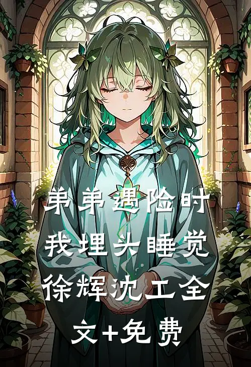 弟弟遇险时，我埋头睡觉徐辉沈工全文+免费