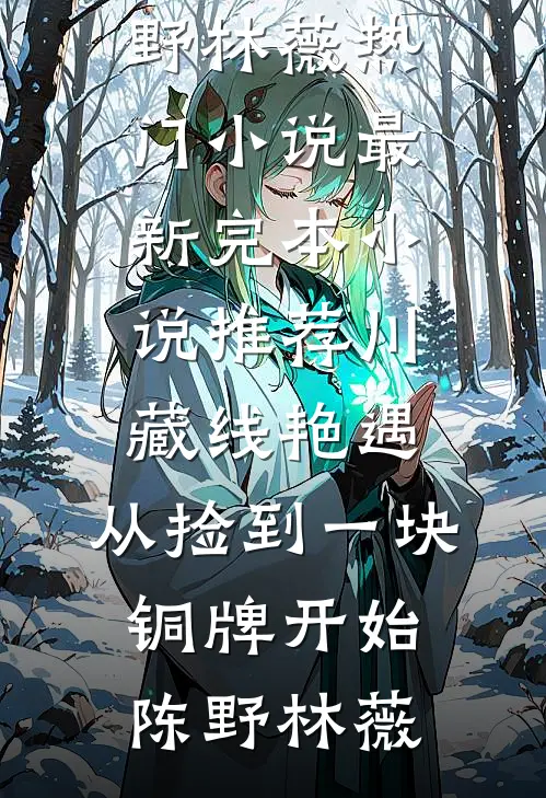 川藏线艳遇：从捡到一块铜牌开始陈野林薇热门小说_最新完本小说推荐川藏线艳遇：从捡到一块铜牌开始陈野林薇