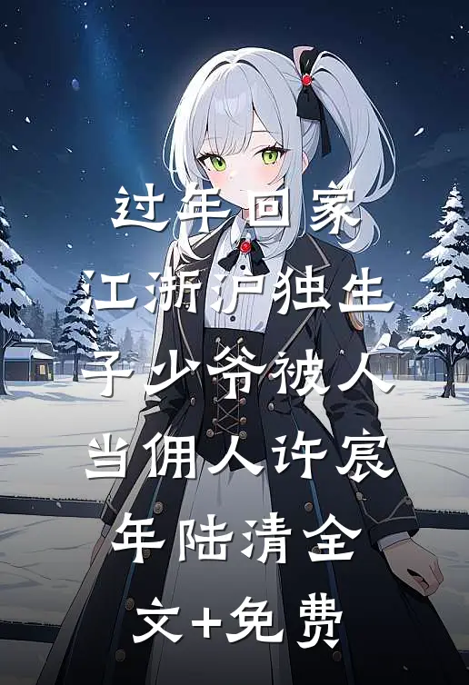 过年回家，江浙沪独生子少爷被人当佣人许宸年陆清全文+免费