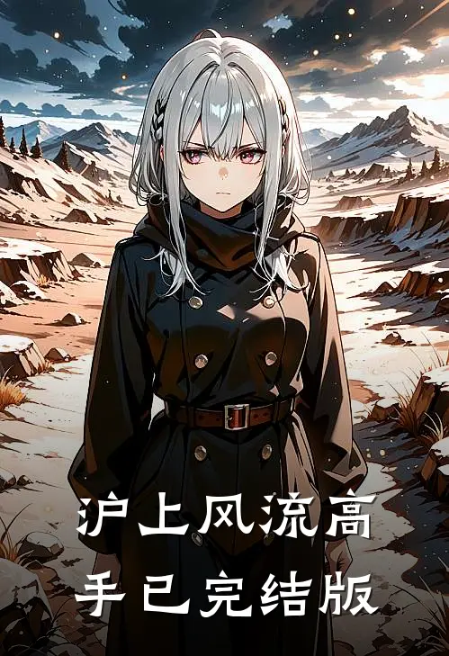 沪上风流高手已完结版