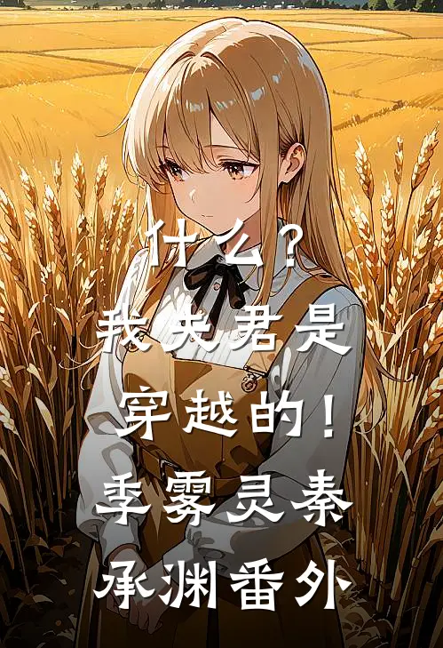 什么？我夫君是穿越的！季雾灵秦承渊番外