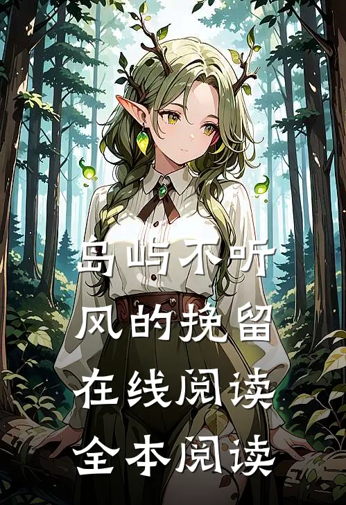 岛屿不听风的挽留在线阅读全本阅读