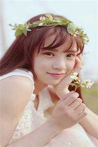 此去经年再无君免费阅读