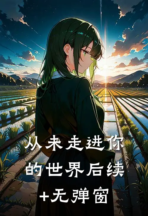 从未走进你的世界后续+无弹窗
