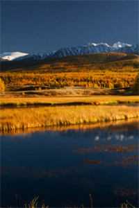 胎内卷王：我在娘胎整顿修仙界连载