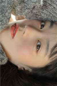 一夜风吹絮结局+番外