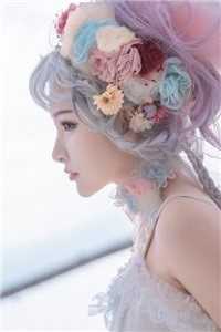 风停后无人归全章节阅读