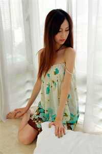 晚风辞朝露热门推荐