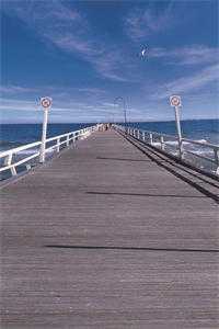 晚樱落尽不归渊知乎