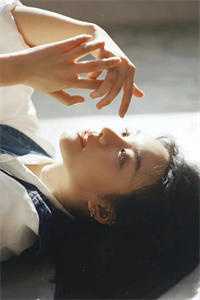 在黄昏坠落之前by