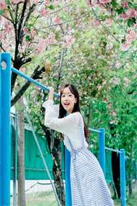 穿越综武：开局福州城锦衣卫千户完整版