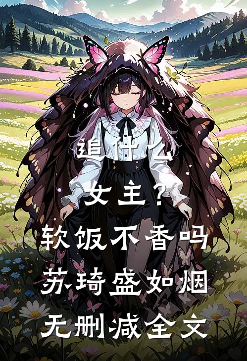 追什么女主？软饭不香吗苏琦盛如烟无删减全文