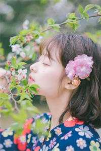 不见桐花万里路全本