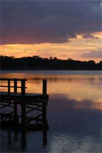 救命骨髓被渣男当生意卖，身份曝光后他全家火葬场小说