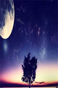 母凭子贵，王妃之位该让贤了！高质量好文