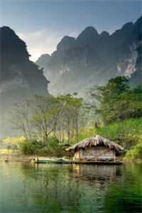 拯救恶毒女配姐姐，我反被大佬盯上桑嫤言初番外