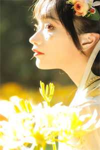 半阙残弦思华年精品篇