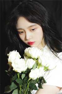 夕落鸿雁送云书连载