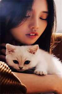 撩个清冷书生解闷，你说他是太子殿下？谢泠姝沈承和全文免费