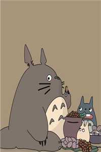 相思不及明月目录