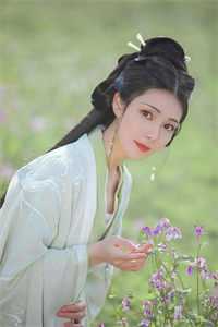 杏花微雨记回眸全篇