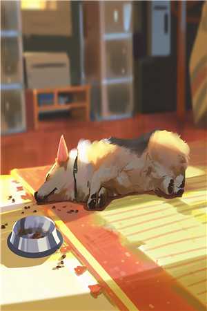 十年一梦后续+番外