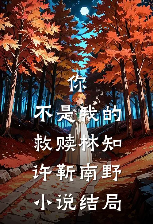 你,不是我的救赎林知许靳南野结局是啥