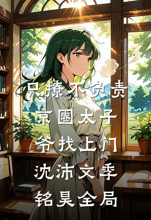 只撩不负责，京圈太子爷找上门沈沛文季铭昊全局