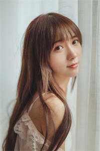 不见桐花万里路后续