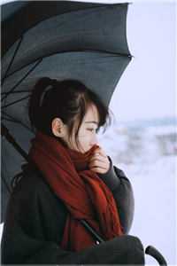 故人轻抚今人眉江随野沈时昭全集