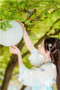 爱意隔山海全本