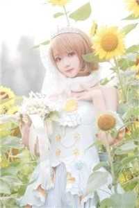 南风未起，念你成疾沈云舒孟听南后续+全文