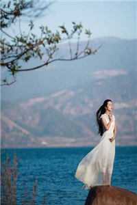 愿无来世可相见人气小说