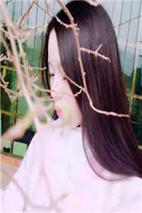 十年终章，爱意定格后续+无弹窗